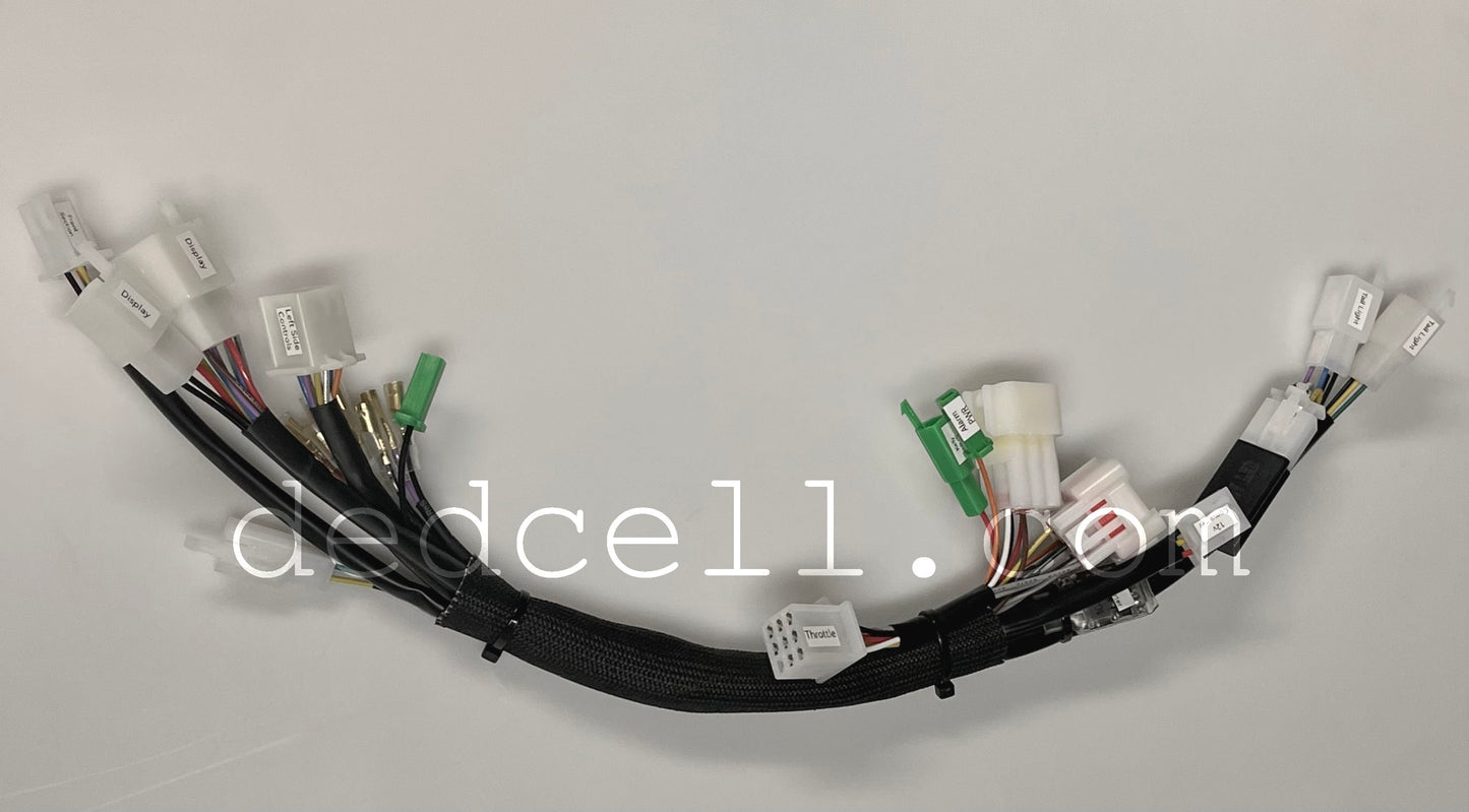 RCR Wiring Harness - Kelly